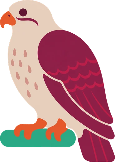 Fozan the Saker falcon