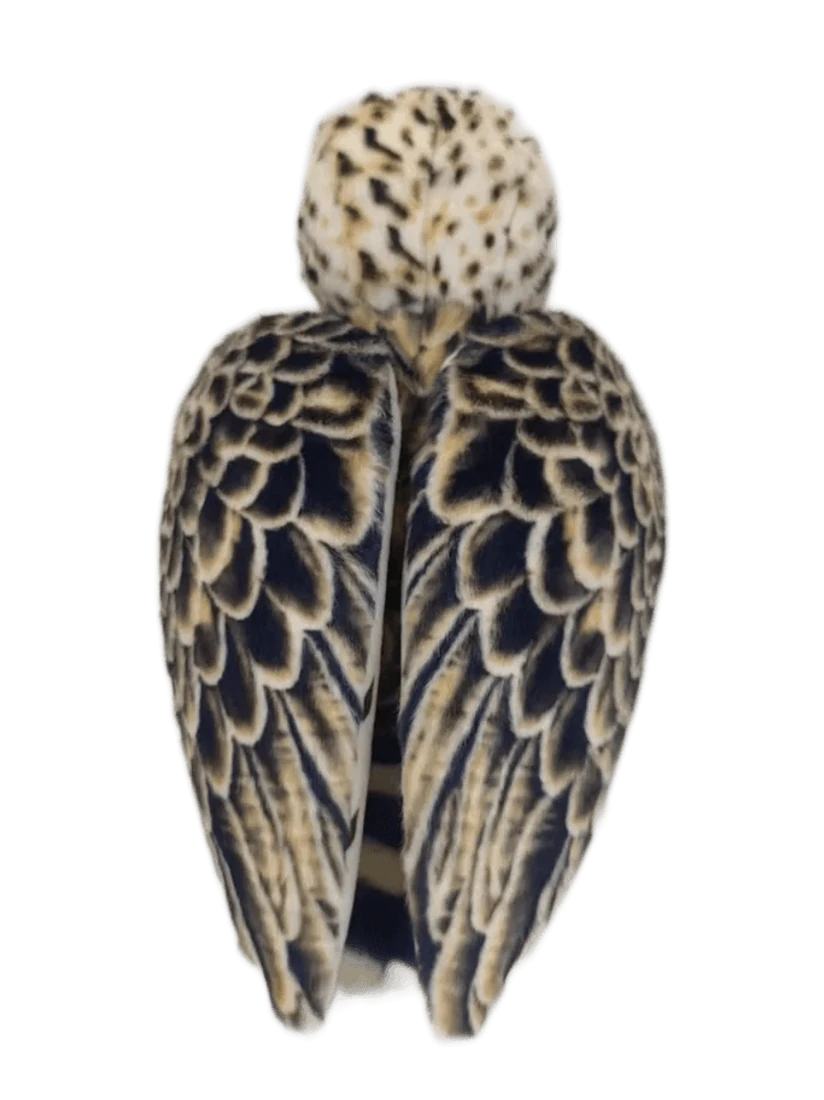 Wings from behind