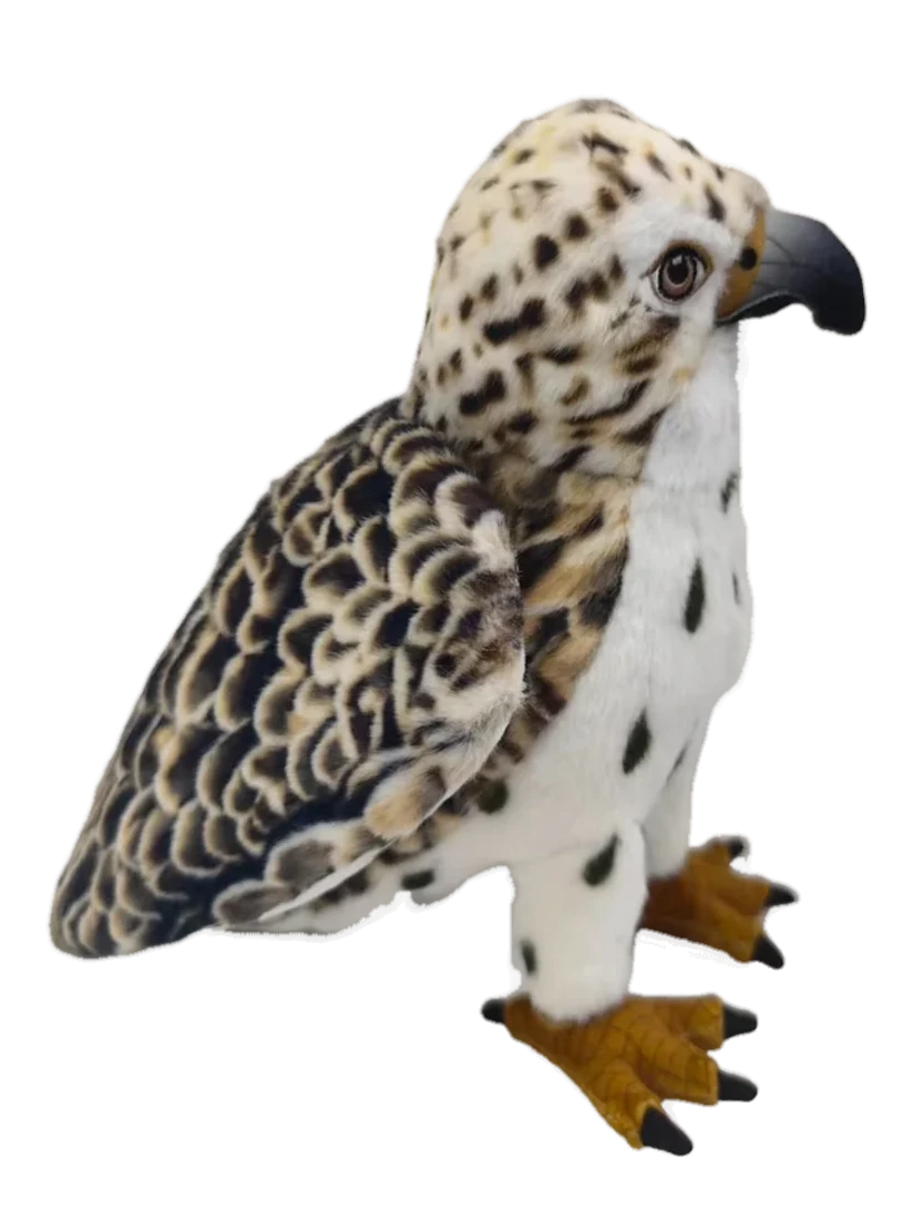 Side view